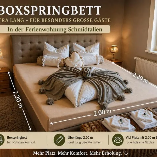 Ferienwohnung Schmidtalien,inklusive Infrarotsauna，位于Dommitzsch的酒店