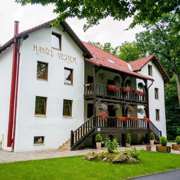 海诺维塔莫旅馆，位于勒希纳里的酒店