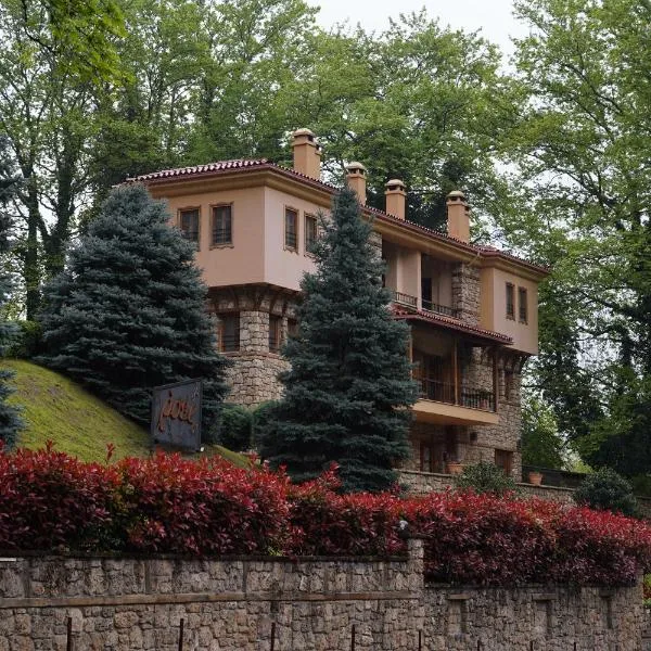 鱼子套房酒店，位于卡托劳塔翁的酒店