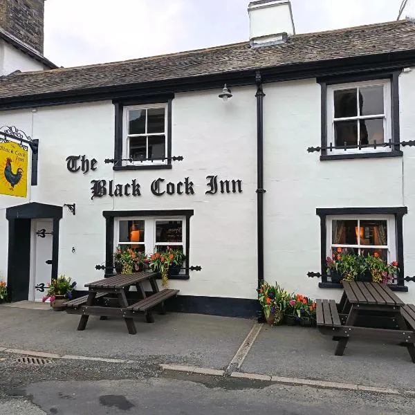The Black Cockerel Inn，位于布劳顿弗内斯的酒店