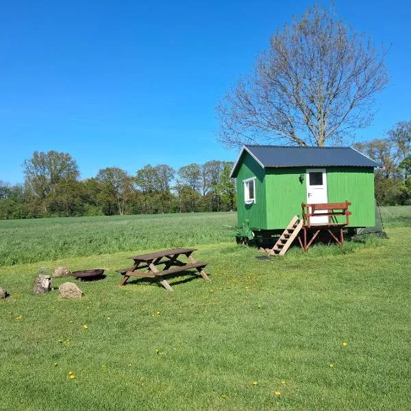 Tiny House，位于明斯特的酒店