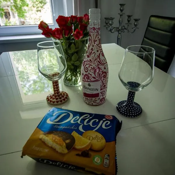 Apartament nad rzeką，位于科瓦雷的酒店
