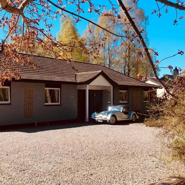 Craigdarroch Guest House，位于康廷的酒店