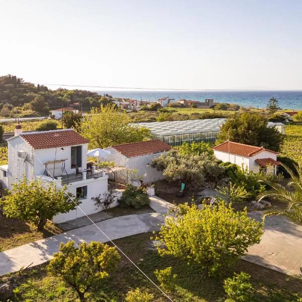 Thalia's Cottage - Cozy, Romantic Retreat with Sea & Mountain views，位于Kámpos的酒店