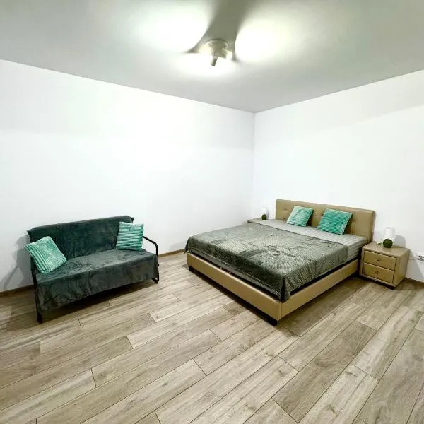 David Apartment，位于奥托佩尼的酒店