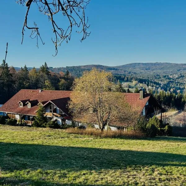 Aotearoa - Mountain apartment in Bavaria, Mitterdorf - Mitterfirmiansreut，位于米特菲厄姆恩斯罗伊特的酒店