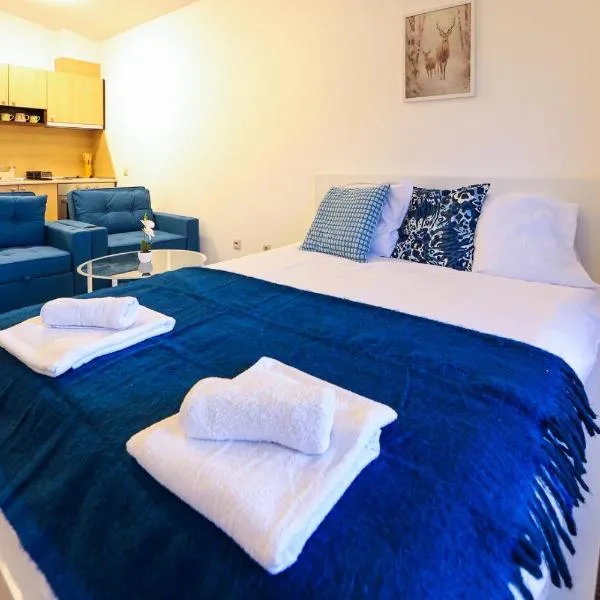 Mountain View Studio Razlog Free Parking&Terrace，位于拉兹洛格的酒店
