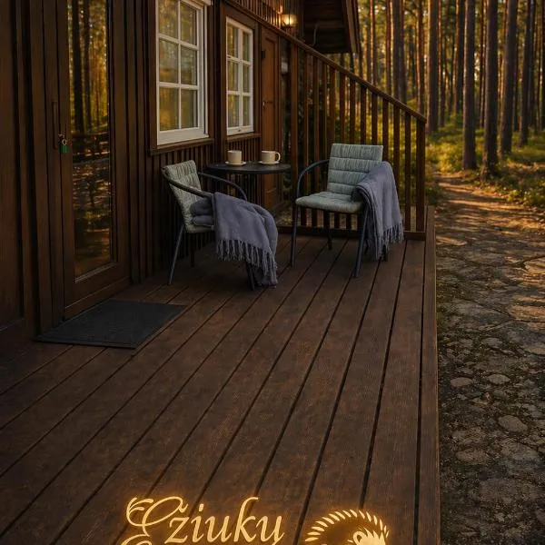 Ežiukų rojus，位于内林加的酒店