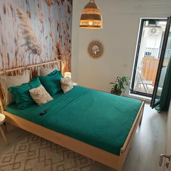 Studio near Airport & Therme Wellness SPA，位于奥托佩尼的酒店