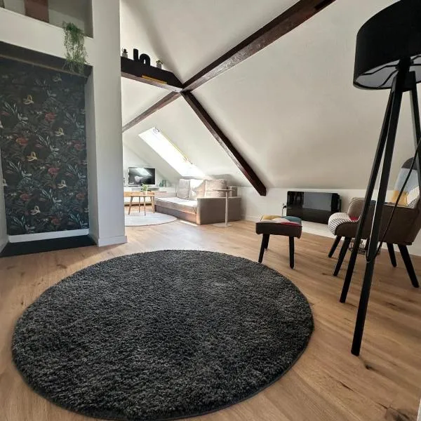 Haus Lilium-Gemütliche Dachgeschoss Wohnung，位于弗罗伊登施塔特的酒店