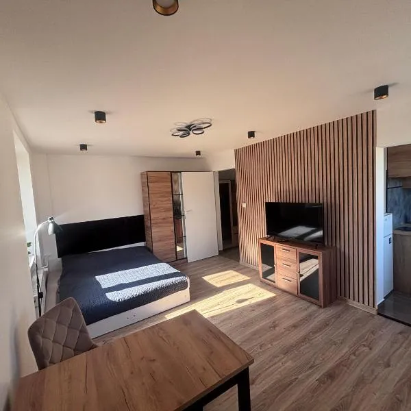 Studio 3maja，位于哈伊努夫卡的酒店