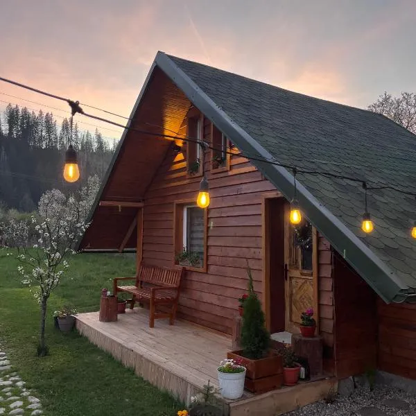 EscapeTinyCabin by IezerVenture，位于Lereşti的酒店