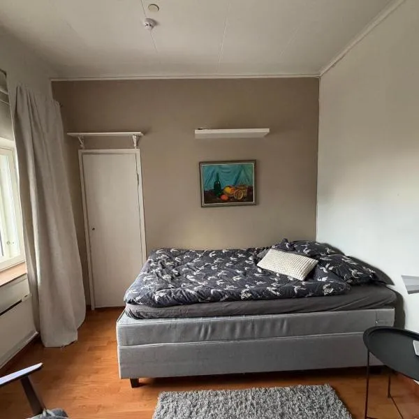 Snygg studio lägenhet Wolffskavägen 21，位于瓦萨的酒店