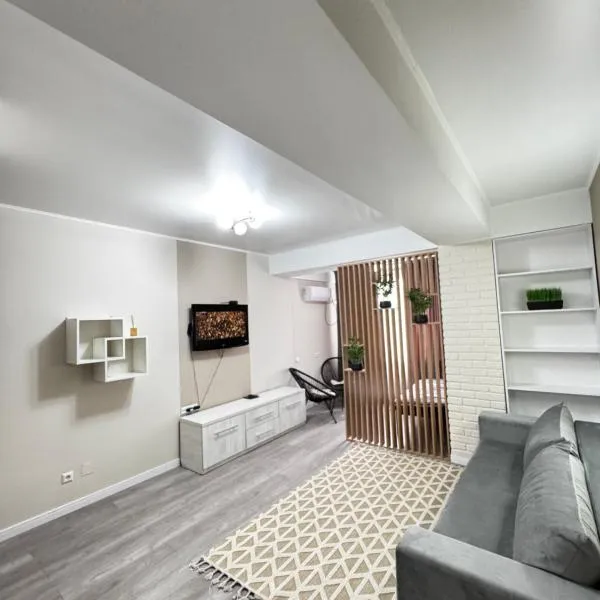 Studio Apartment，位于基希讷乌的酒店