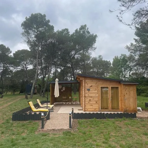 Chalet Le Luc - Casa Zenitude，位于勒吕克的酒店
