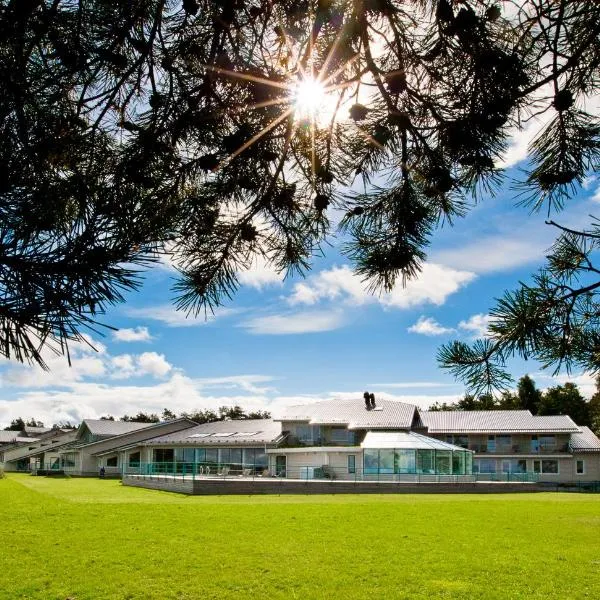 弗拉马雷海水浴场Spa酒店，位于哈普萨卢的酒店