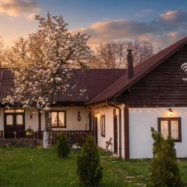 Pensiunea Cocoș，位于Spulber的酒店