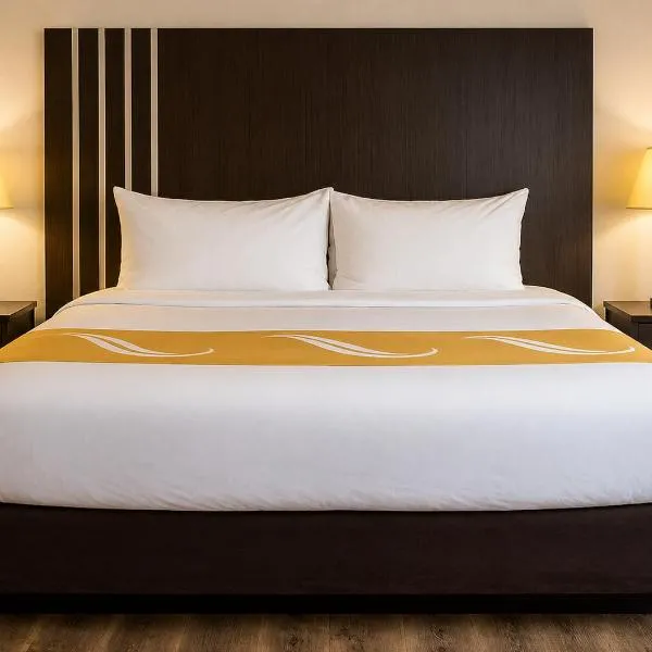 Village Inn & Suites，位于萨尼亚的酒店