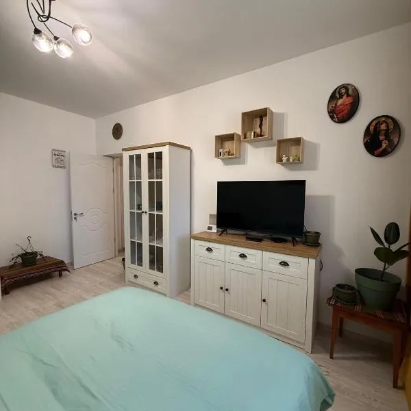 Mary's Studio，位于Ipoteşti的酒店