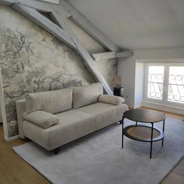 Le Boudoir de l'Aurore - Idéal famille - Central，位于奥布河畔巴尔的酒店