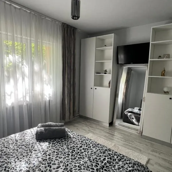 Aida Apartament，位于克拉约瓦的酒店