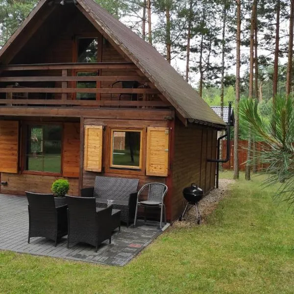 Domek Pod Sosnami，位于Kuźnica Nowa的酒店