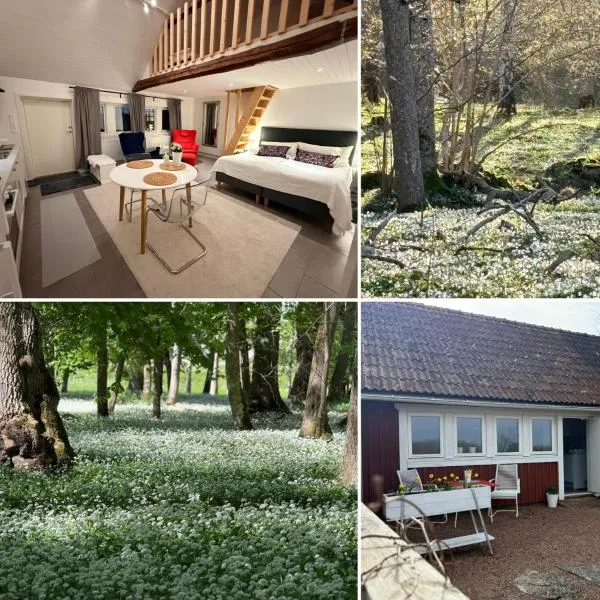Kinnekulle bed & breakfast，位于Källby的酒店