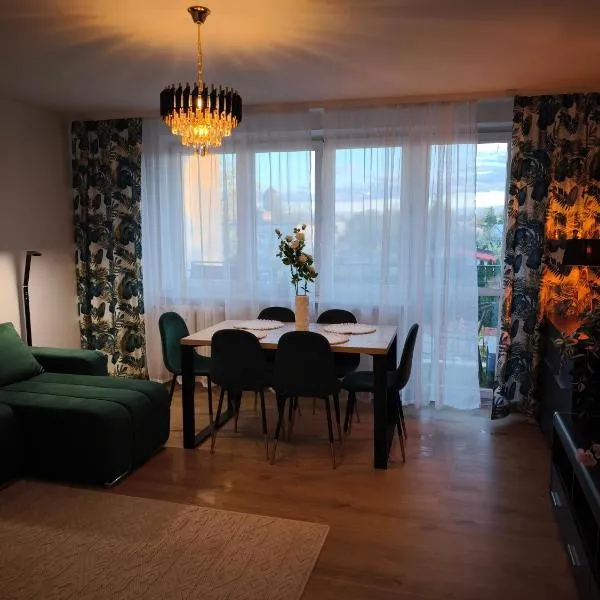 Oldie but Goldie Apartament，位于马佐夫舍地区明斯克的酒店
