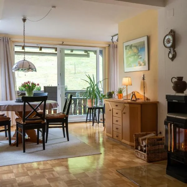 Ferienwohnung Belchenzeit，位于明斯特塔尔的酒店