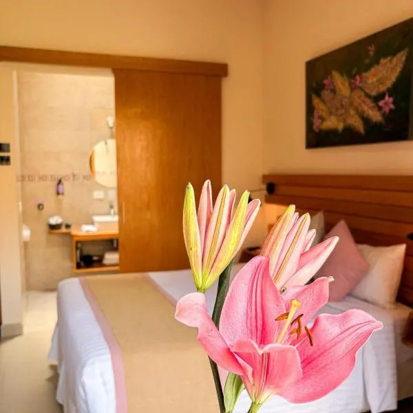ArcoSodi Hotel Boutique，位于瓦哈卡市的酒店