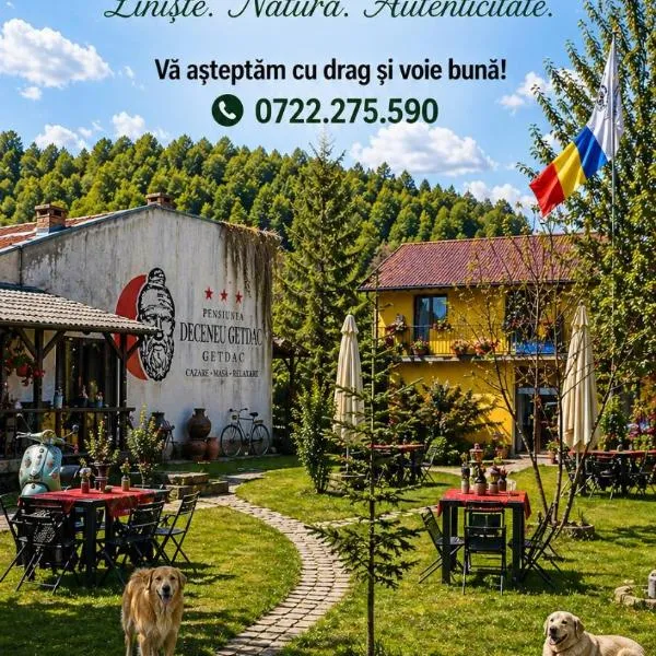 Pensiunea Deceneu，位于斯勒尼克的酒店
