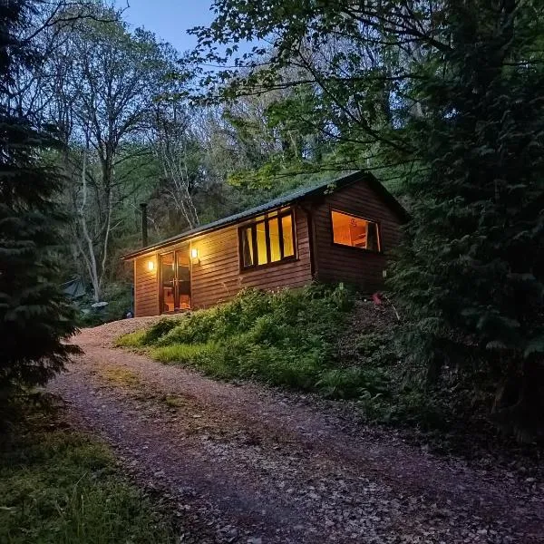 Stream-side cabin and sauna，位于Ballyduff的酒店