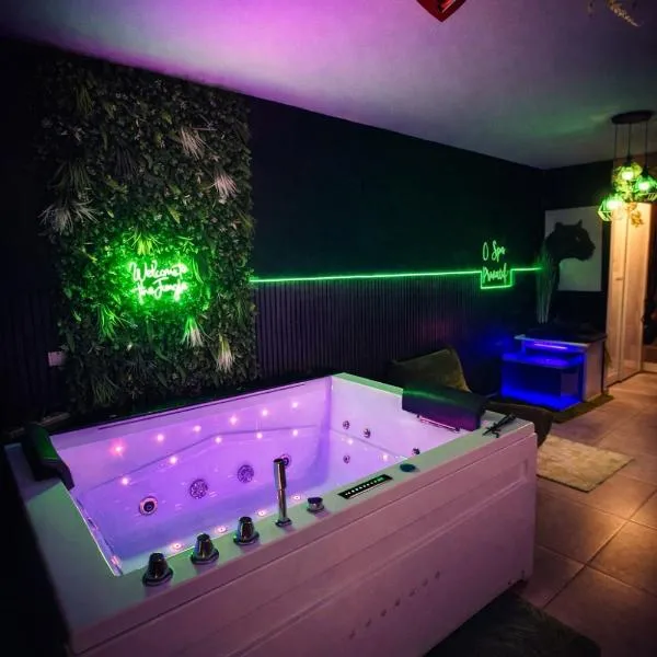 Ô Spa Privatif - Luxury Suite - JACUZZI-SAUNA-NETFLIX-FISHSPA-SERVIETTES-PEIGNOIRS-SANDALES-CAFE，位于Morlanwelz-Mariemont的酒店