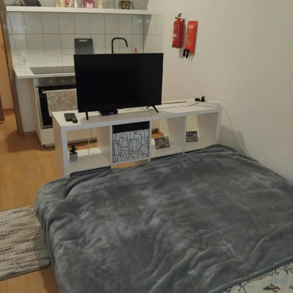Holiday, Monteur Studio flat in Colditz，位于Colditz的酒店