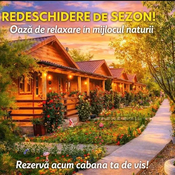 La Podul Gornii，位于Gornea的酒店