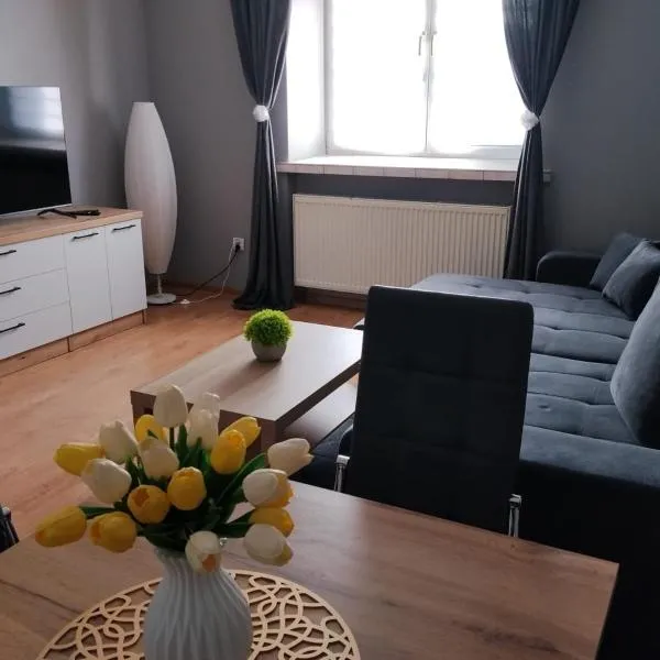 Apartament Ogrodzieniec,位于奥格罗杰涅茨的酒店