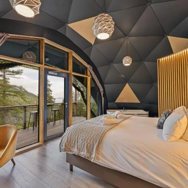Alpin D'Hôme Hôtel & Spa，位于莱索尔的酒店
