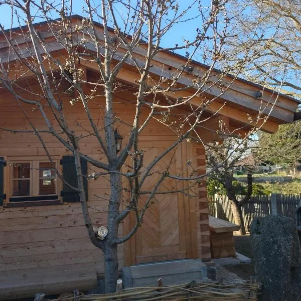 Blockhütte bei den Hühnchen，位于Rötz的酒店