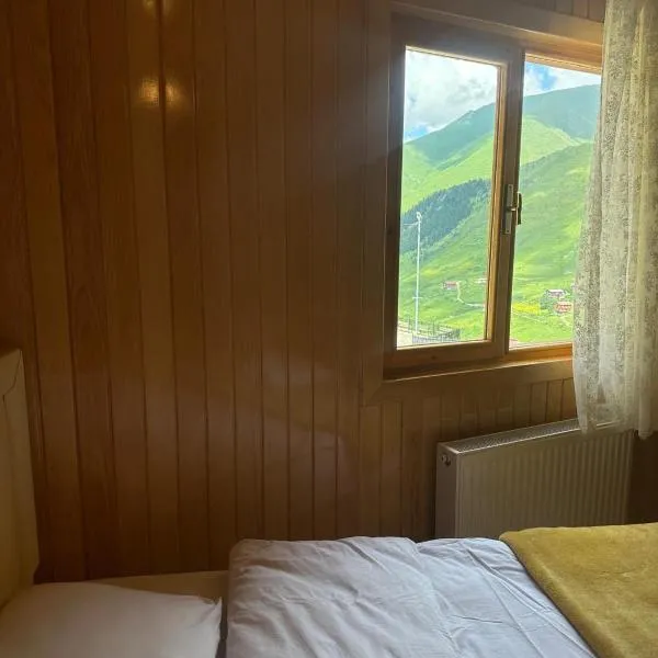 Gosti Home Demirkapi，位于Çaykara的酒店