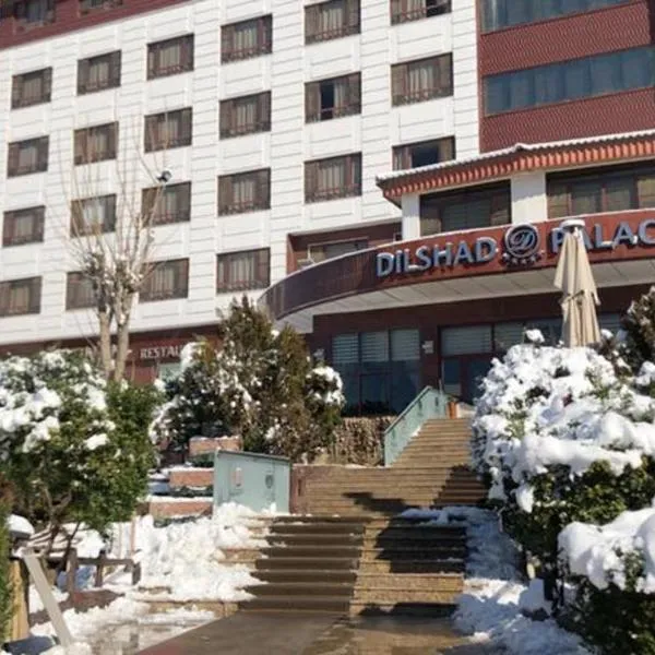 Dilshad Palace Hotel，位于代胡克的酒店