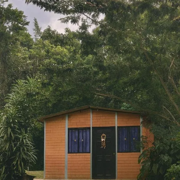 Sapiens house"la Gallita de roca"，位于卡利的酒店
