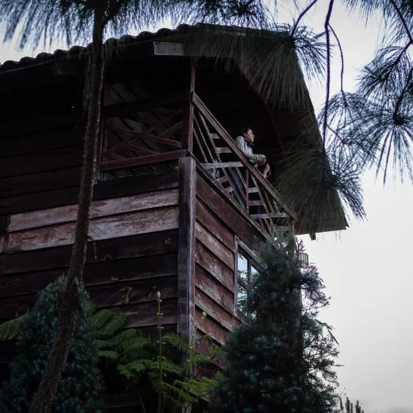Bosque de Niebla，位于Tlatlauquitepec的酒店