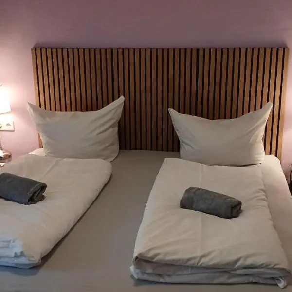 Hotel Birn，位于安斯巴赫的酒店