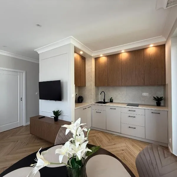 Apartament Klonova z Tarasem，位于奥莱茨科的酒店