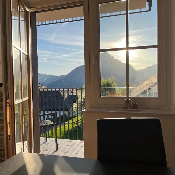 Panorama Appartement am Mühlbachberg，位于特劳恩基兴的酒店
