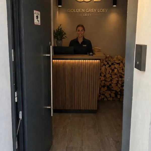 Golden Grey Loft Bahrenfeld Volkspark Hamburg，位于汉堡的酒店