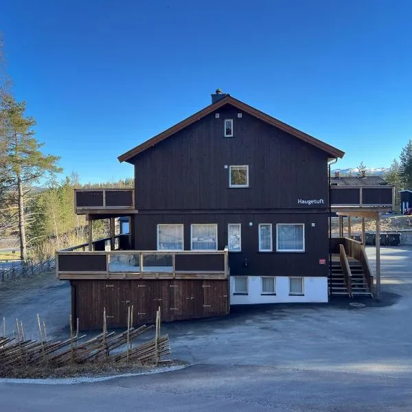 Haugetuft Apartments，位于Åmot的酒店