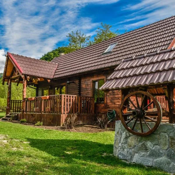 The Little Mountain Cabin，位于Borlova的酒店