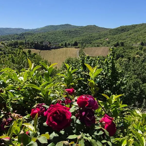 Un piccolo Paradiso nel Chianti più selvaggio，位于基安蒂格雷夫的酒店
