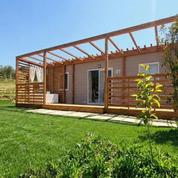VioVillas Agriturismo Glamping Jacuzzi Arezzo，位于阿雷佐的酒店
